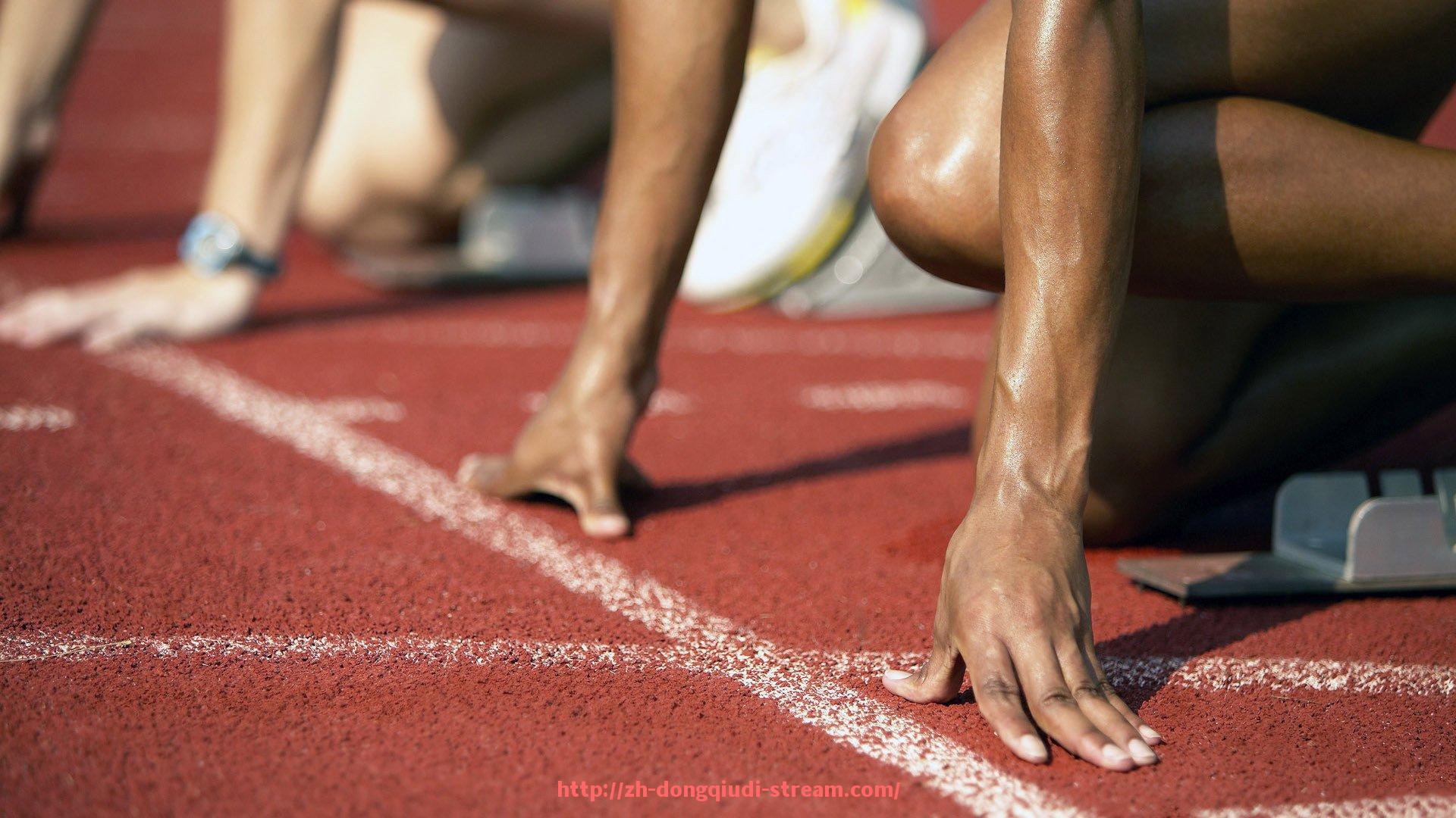 懂球帝直播-世俱杯赛事赞助权益分配方案设计与实操指南